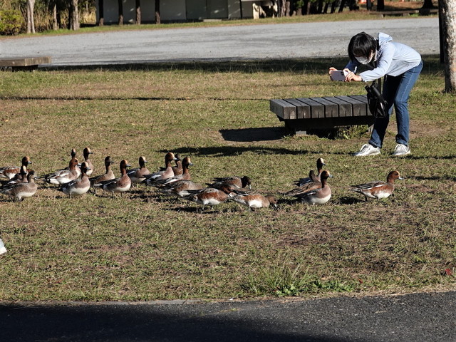 DSC06009水元公園４.jpg